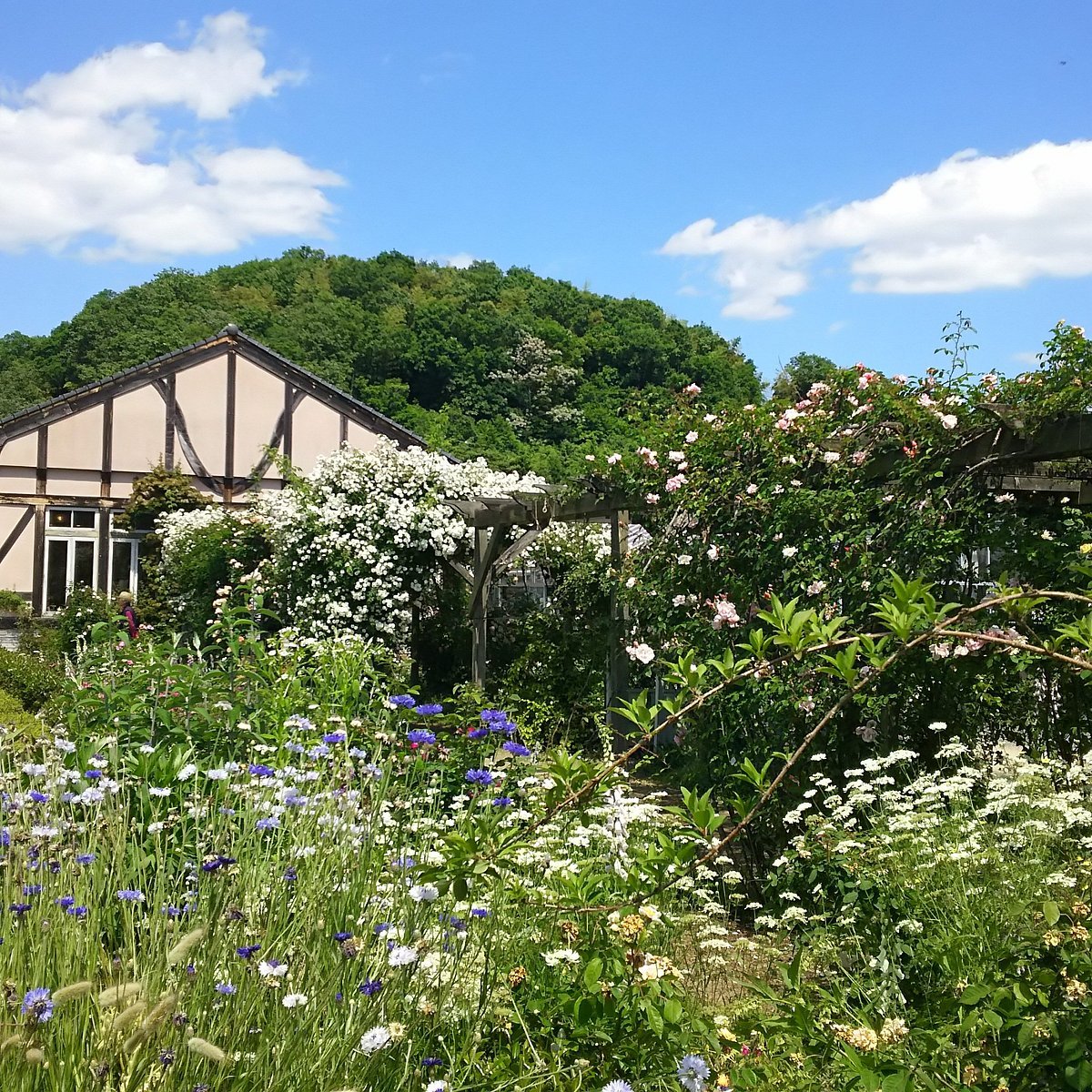 🌸 구마야마 영국정원 (구마야마 에이코쿠 테이엔) 이미지 8